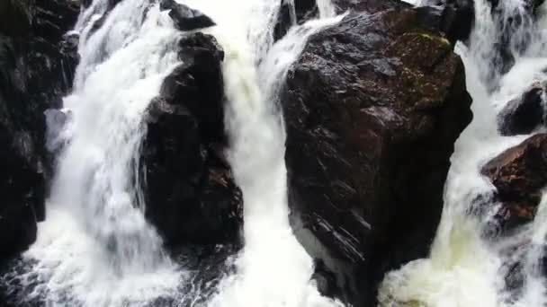 Black Linn Falls Pustelni Dunkeld Szkocji Ten Wodospad Jest Najlepiej — Wideo stockowe