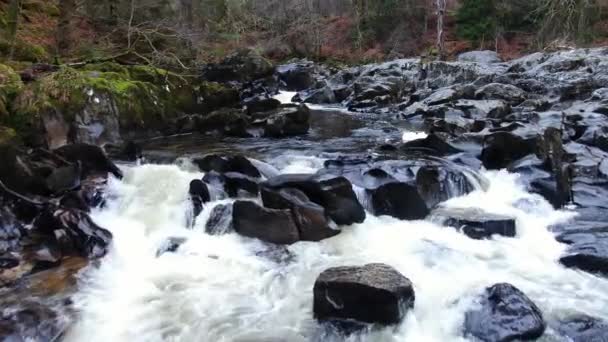 Black Linn Falls Hermitage Dunkeld Escocia Esta Cascada Mejor Desde — Vídeos de Stock