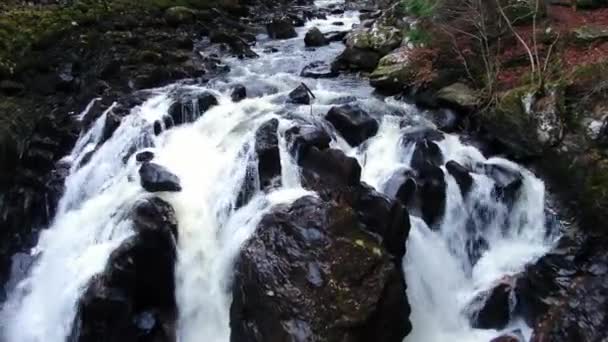 スコットランドのダンケルドにあるエルミタージュのブラック リン滝 この滝は ダグラス フェアの森の奥深くにあるオシアンホールから最もよく見えます — ストック動画