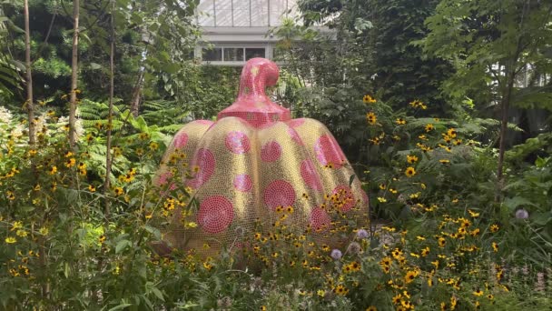 Yayoi Kusama Pumpkin Sculpture Cosmic Nature Nybg 2021 — Video