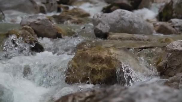 Slow Motion View Small Stream Running Water Boom Shot — ストック動画