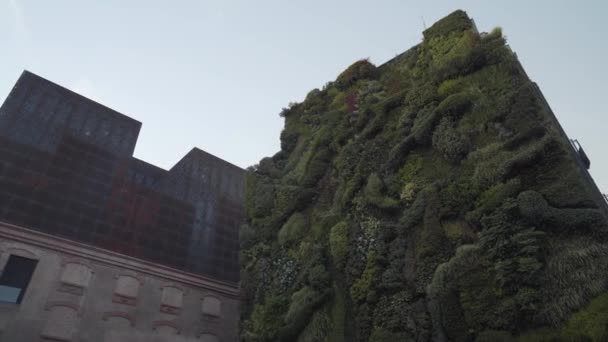 Vertical Living Garden Wall Caixa Forum Madrid Spain Low Angle — Video Stock