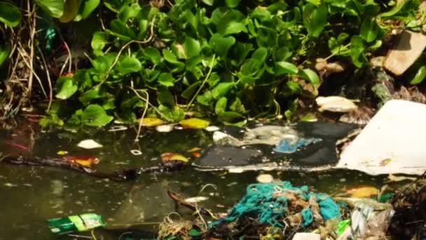Tropické Pobřeží Plné Mikroplastů Dalších Odpadků Globální Problém Pohled Pohyb — Stock video