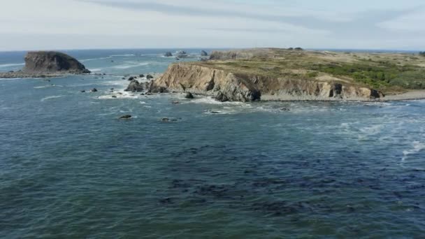 Stationary Drone Aerial Sea Kelp Forest Tall Ocean Cliffs Sunny — 비디오
