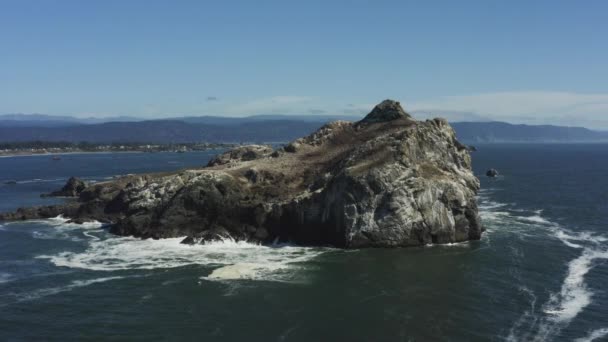 Aerial Drone Footage Slowly Panning Very Large Pacific Ocean Boulder — Video Stock