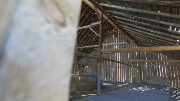 Sideways Tracking Footage Left Right Empty Barn Exposed Beams Bales — Stockvideo