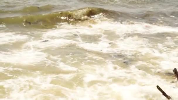 Scene Ocean Waves Garbage Accumulated Beach Gimbal — Vídeo de stock