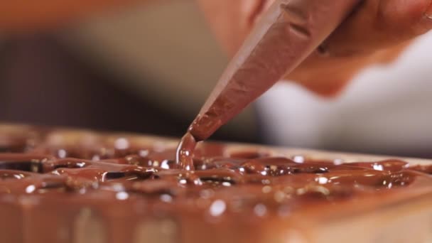 Chocolatier Squeezing Chocolate Praline Mold Handmade Fine Chocolate Praline Production — Vídeos de Stock