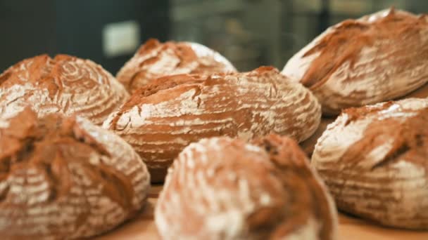 Freshly Baked Sourdough Bread Hot Steaming Bread Oven Fresh Out — Stockvideo