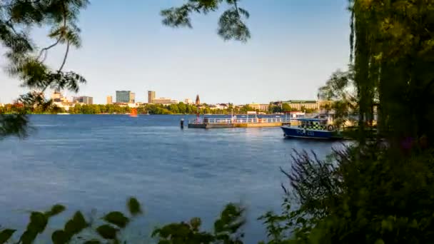 함부르크에서 날많은 카누들 나가고 있는아우 스터의 사이로 아름다운 — 비디오