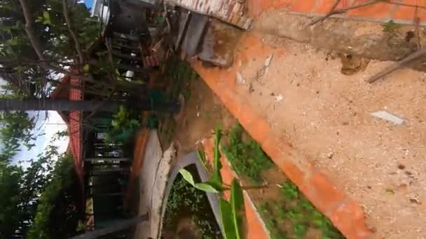 Walking Garden Area House Street Vertical Walker Pov — Wideo stockowe