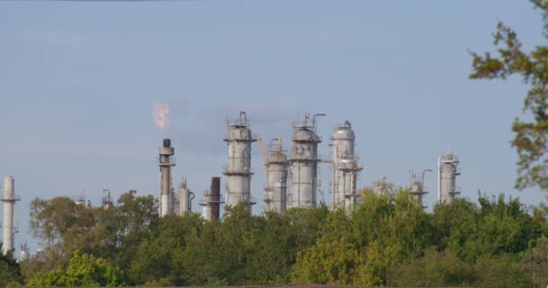 Establishing Shot Chemical Refinery Plant Pasadena Texas Community — Stock Video