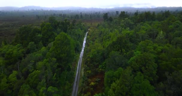 ニュージーランドのクマラの農村部の田園地帯にあるタルマック道路に沿って ドローンはネイティブの茂みや木を飛び越える — ストック動画