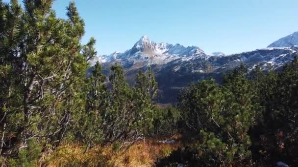 Avrupa Daki Avusturya Nın Alpler Dağı — Stok video