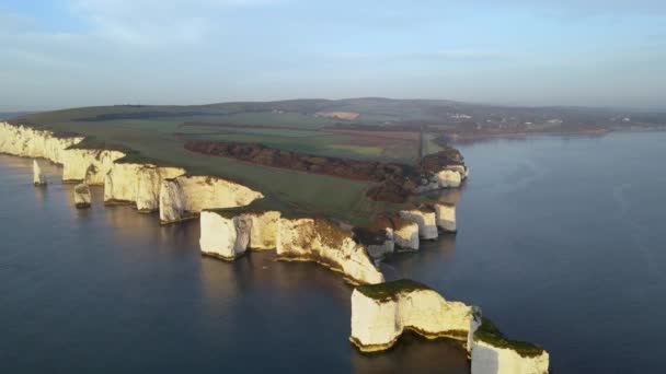 Old Harry Rocks Cliffs Green English Countryside Dorset England Aerial — Stockvideo