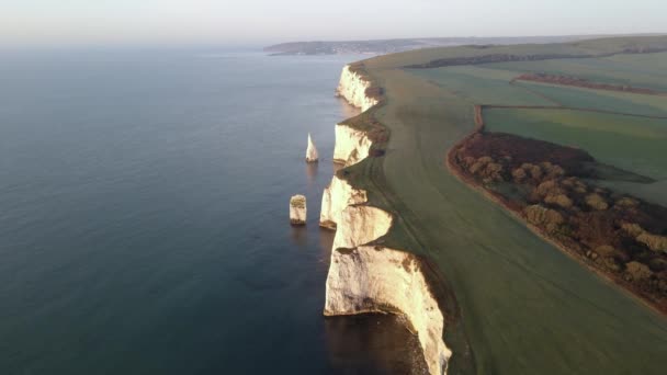 Verdant Landscape Old Harry Rocks Cliff Purbeck Island Dorset Aerial — Stock video