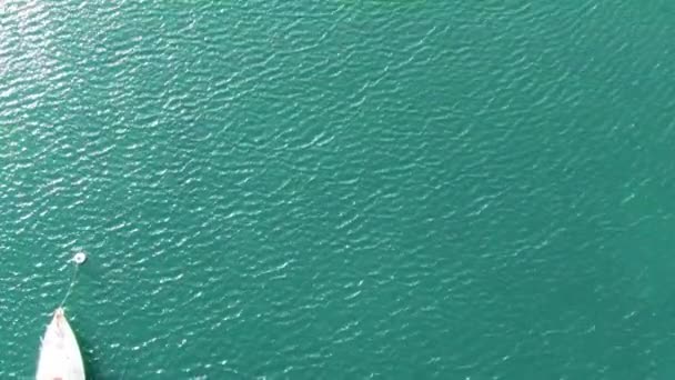 Turquoise Wavy Water White Dock Beach Mansions Martha Vineyard — Vídeo de stock