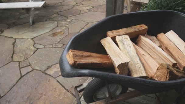 Close Shot Wheelbarrow Sliced Firewood Making Fire — Stockvideo