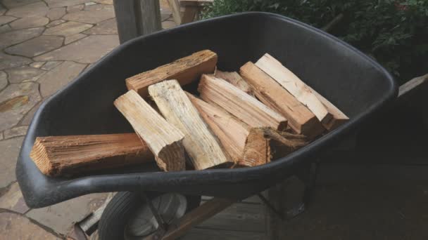 Still View Black Wheelbarrow Loaded Chopped Wood Backyard — Video Stock