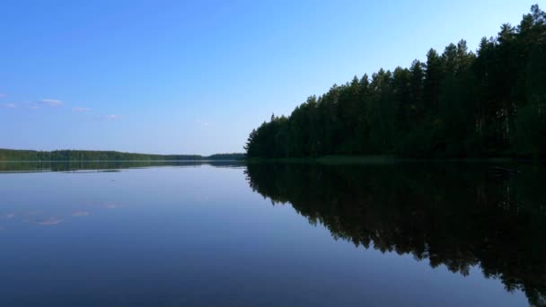 Роздуми Про Озеро Ліс Поруч — стокове відео