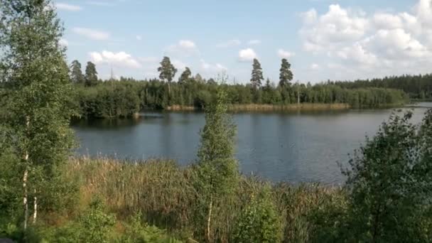 Ecological Lake Sweden Created Wastewater Treatment — Video Stock
