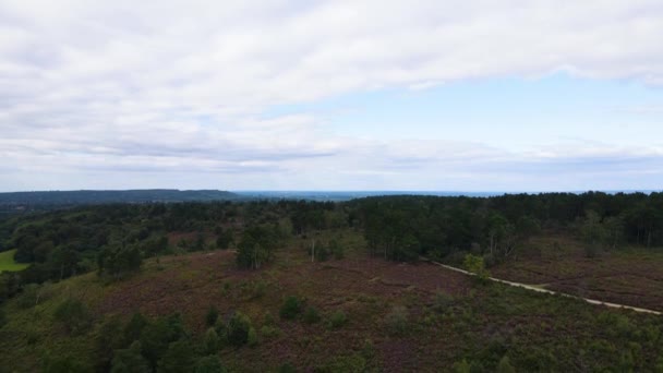 South Downs National Park Haslemere Aerial Rising — Stockvideo