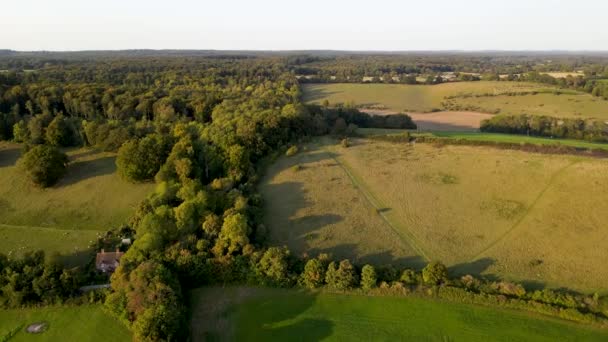 Green English Mapledurham Countryside Berkshire County Aerial Forward — Stockvideo