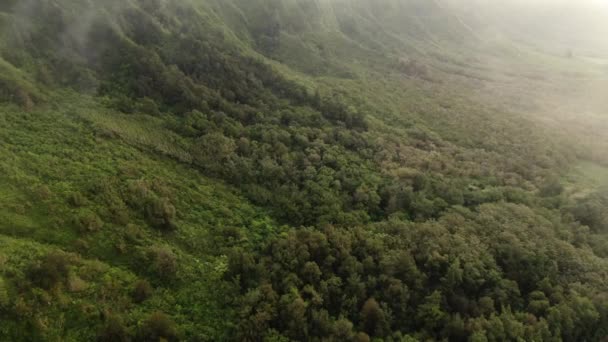 Drone Flying Forward Clouds Hawaiian Forest East Oahu — 图库视频影像