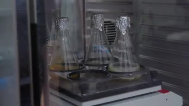 Les Liquides Spécimens Sont Mis Rotation Dans Des Fioles — Video