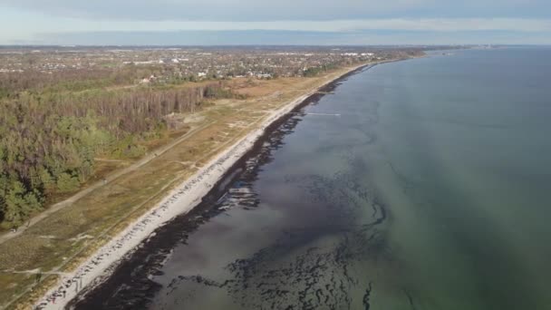 Drone Footage Coastline Danish Suburbian Area Close Copenhagen — ストック動画