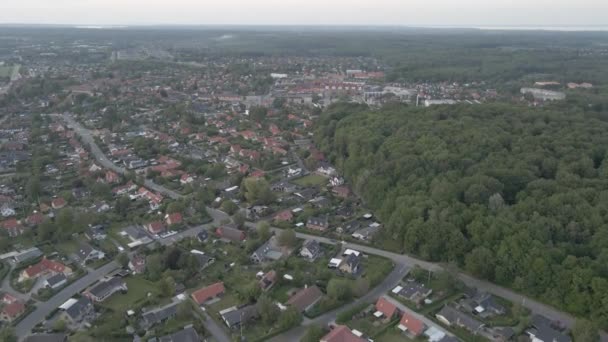 Drone Footage Small Danish Suburbian City Located Protected Forest — Stockvideo