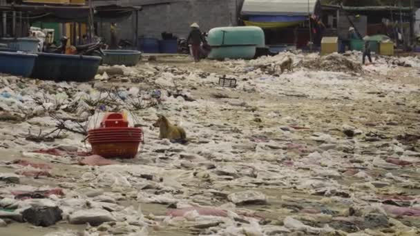 Dirty Beach Shore Full Plastic Trash Waste Southeast Asia — Vídeo de stock