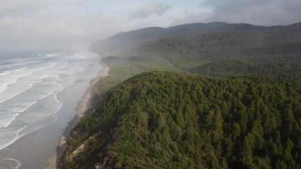 Drone Pans Forested Hill Leading Sandy Beaches Carl Washburne Memorial — Stockvideo