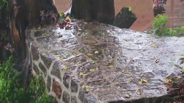 Cinematic Shot Rain Drops Captured Which Falling Designed Stone Sitting — Videoclip de stoc
