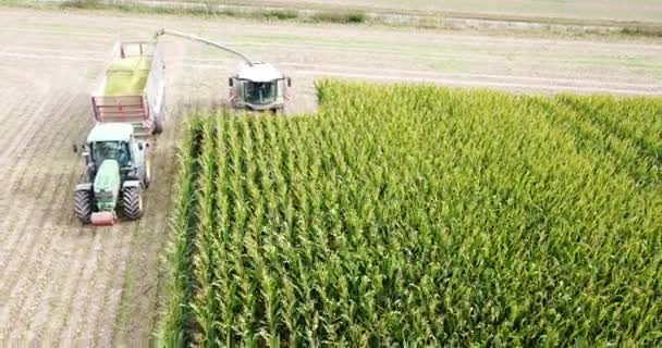 Agriculture Machine Harvesting Corn Cornfield — ストック動画
