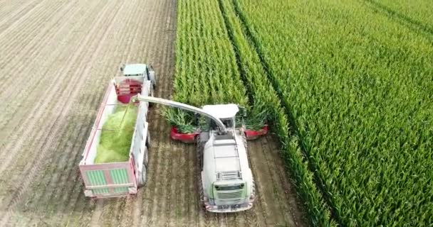 Drone Aerial Shot Harvesting Machine Cornfield — 图库视频影像