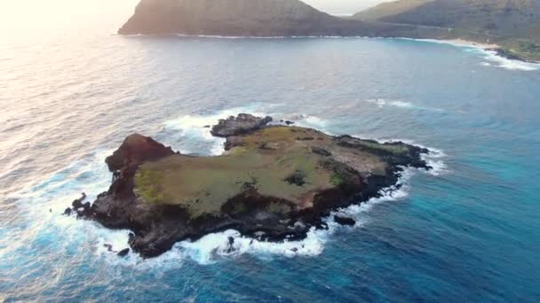 Drone Tilting Mini Private Island Hawaii Oahu Background — Wideo stockowe