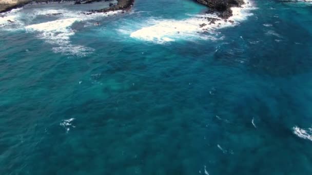 Drone Tilting Ocean Reveal Secret Hawaiian Beach — Video Stock