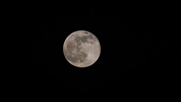 Chiusura Della Luna Piena — Video Stock