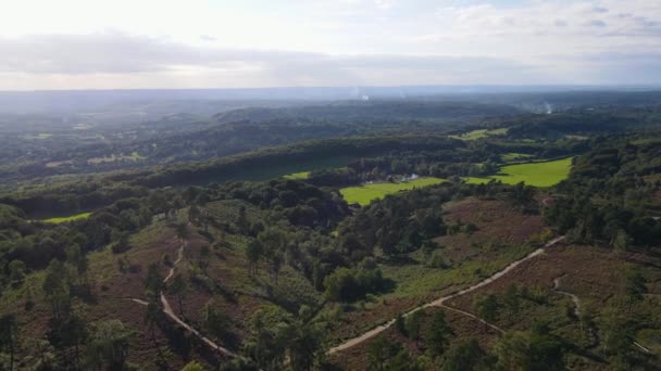 Hazlemere Countryside England Aerial Forward — ストック動画