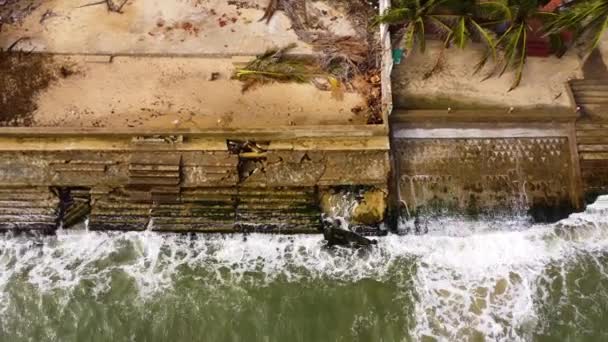 Aerial Top View Storm Surge Coastline Tropical Beach Palm Tree — Video Stock