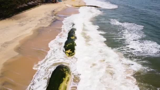 Mossy Geo Tube Sandy Coastal Beach Vietnam Protect Land Ocean — Vídeo de Stock
