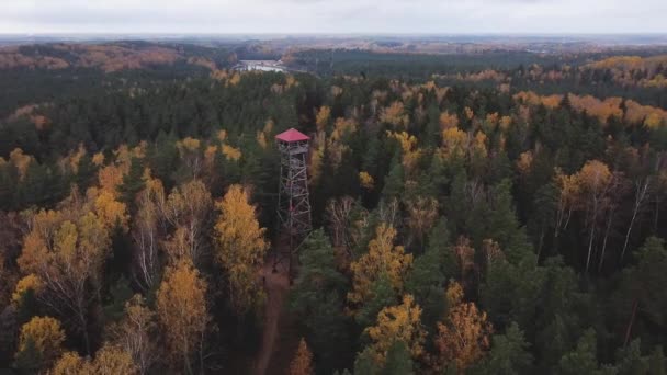 Aerial Drone Rotating Shot Tall Viewing Tower Middle Colourful Autumn — Stock videók