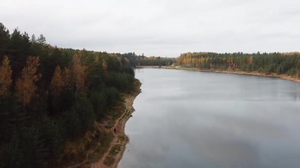 Aerial Drone View Colourful Autumn Forest Next Calm Lake Overcast — Stock videók