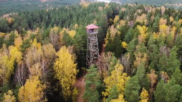 Aerial Drone View Viewing Tower Colourful Autumn Forest Recorded Ogres — Vídeo de Stock