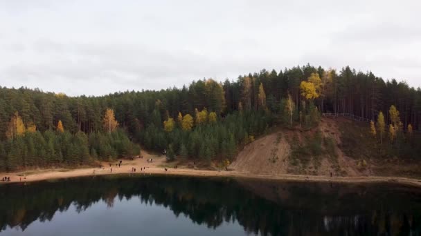 Aerial Drone View Colourful Autumn Forest Next Lake Sandy Banks — Vídeo de Stock