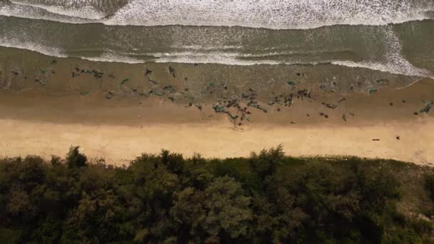 Aerial Birdseye Static Shot Destroyed Fishing Net Beach Typhoon Rai — Stock video