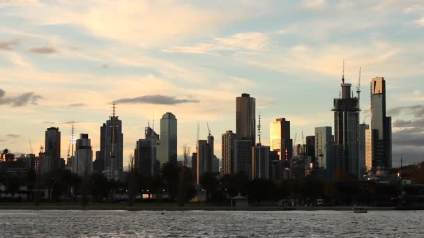 Melbourne Cbd Seen Albert Park Lake Many Cranes Topping Each — ストック動画