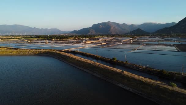 Aerial View Narrowed Road Going Salt Evaporation Pond Farm Vietnam — Vídeo de Stock