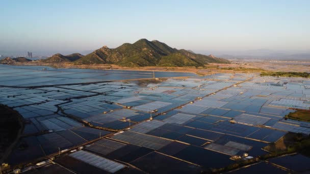 Aerial Flying Forward Salt Fields Vietnamese Province Phan Rang — Stock video